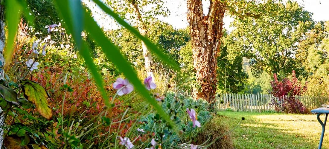 Jardin du gîte la maison d'Amandine