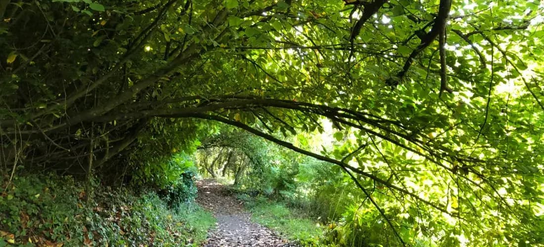 chemin de campagne 