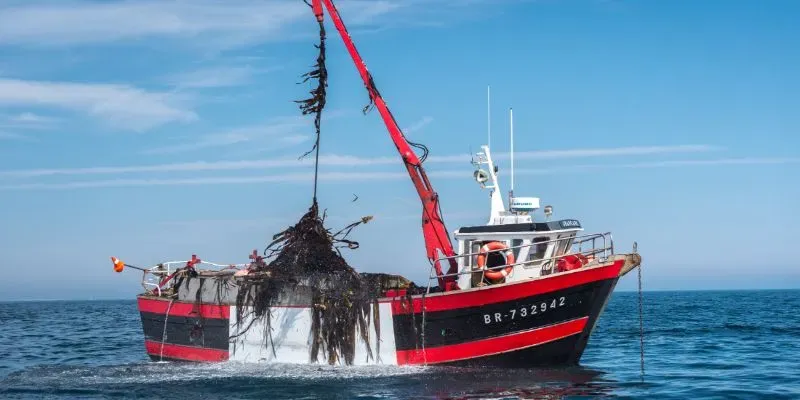 Bateau de pêche qui récolte des algues