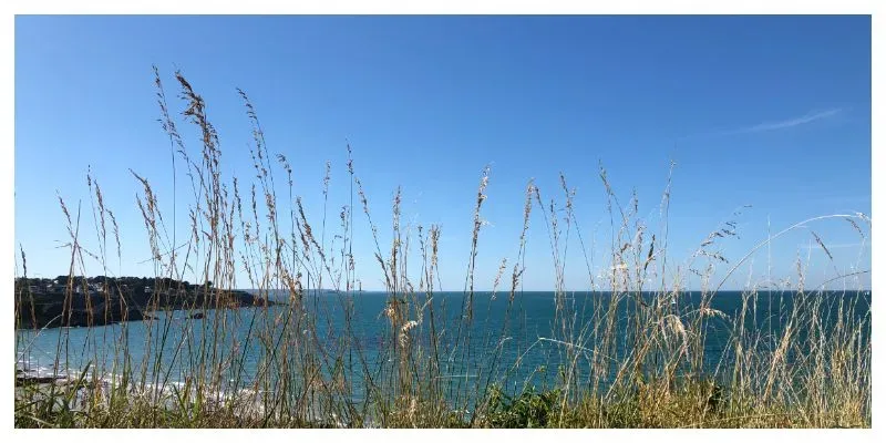 View of the sea from the customs path