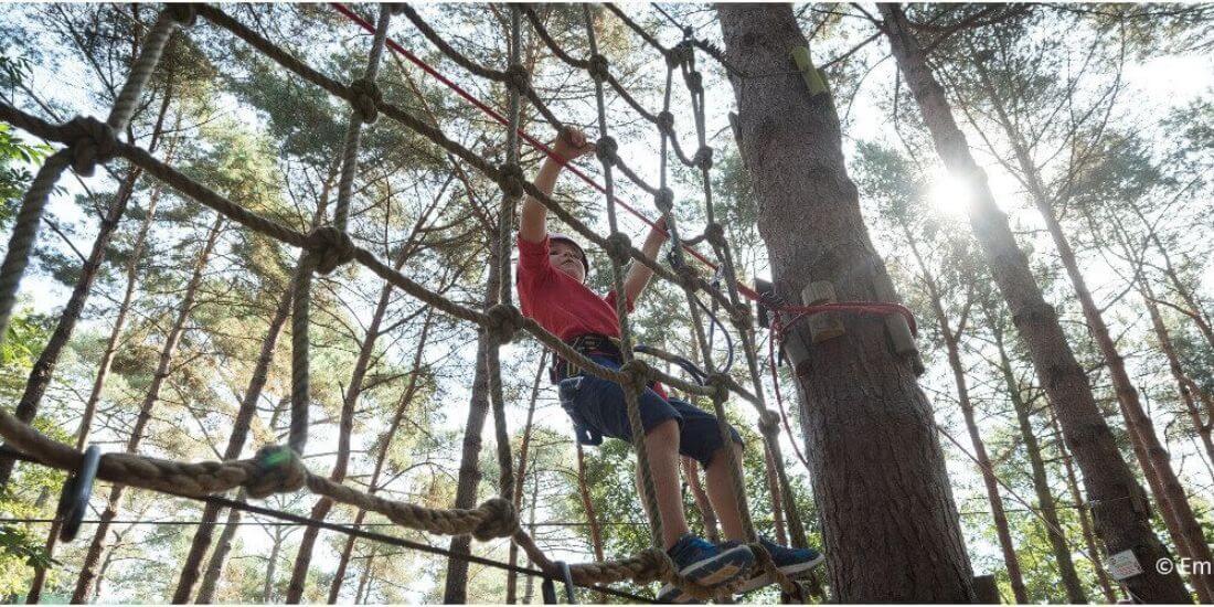 Filet dans les arbres